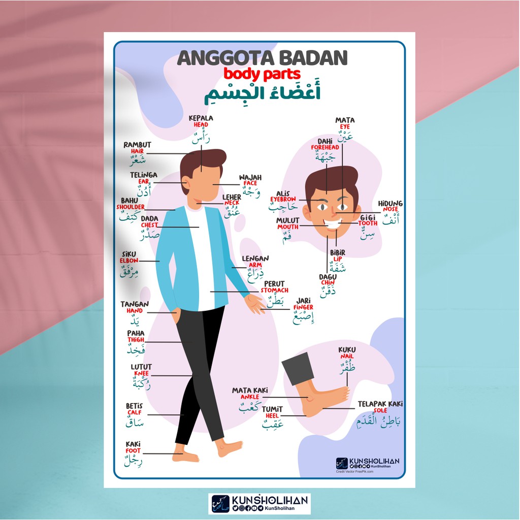 Detail Gambar Anggota Tubuh Dalam Bahasa Arab Nomer 18