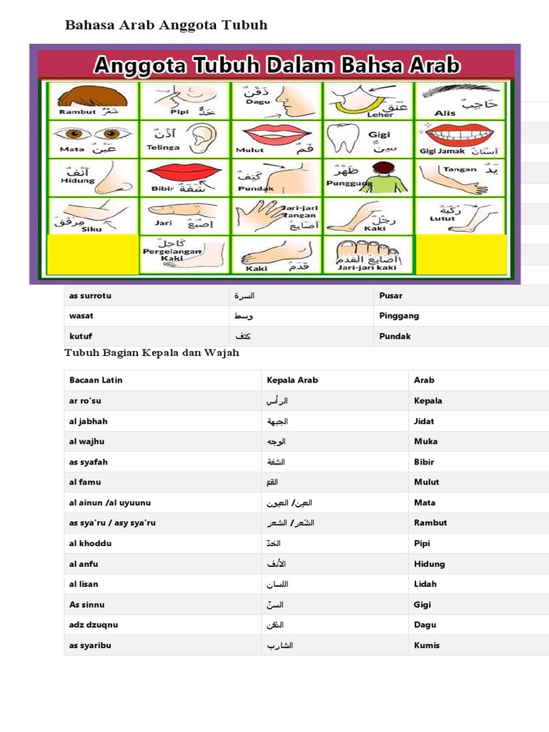 Detail Gambar Anggota Tubuh Dalam Bahasa Arab Nomer 23