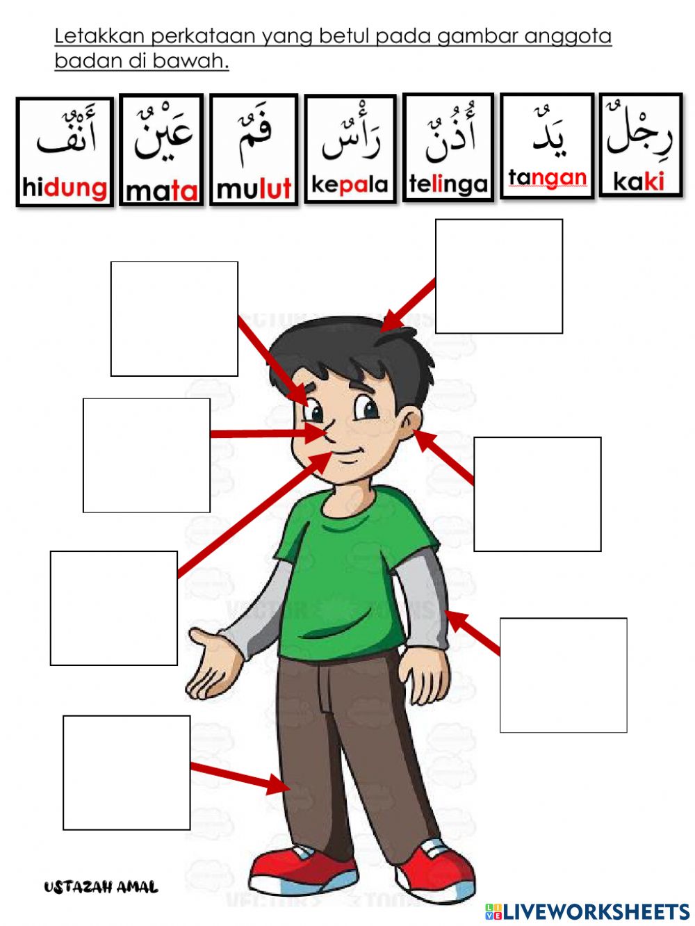 Detail Gambar Anggota Tubuh Dalam Bahasa Arab Nomer 25