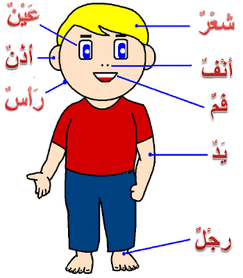 Detail Gambar Anggota Tubuh Dalam Bahasa Arab Nomer 4