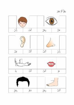Detail Gambar Anggota Tubuh Dalam Bahasa Arab Nomer 36