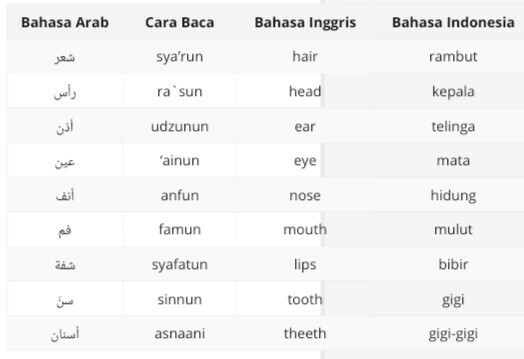 Detail Gambar Anggota Tubuh Dalam Bahasa Arab Nomer 42