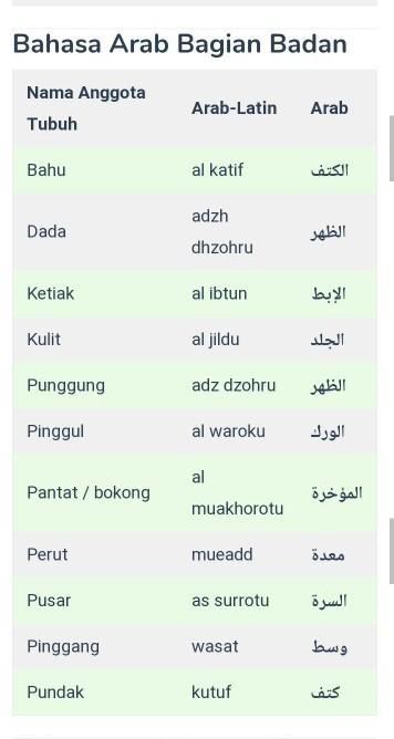 Detail Gambar Anggota Tubuh Dalam Bahasa Arab Nomer 44