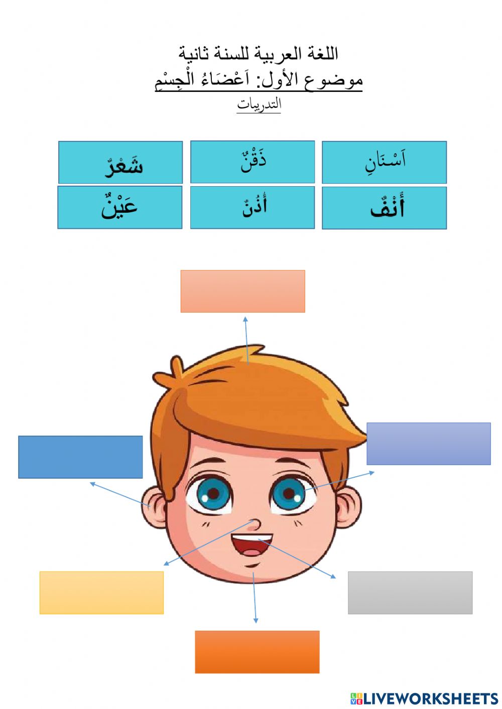 Detail Gambar Anggota Tubuh Dalam Bahasa Arab Nomer 53