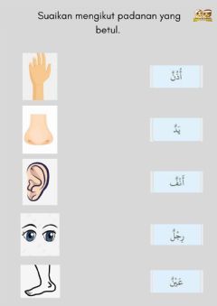 Detail Gambar Anggota Tubuh Dalam Bahasa Arab Nomer 57