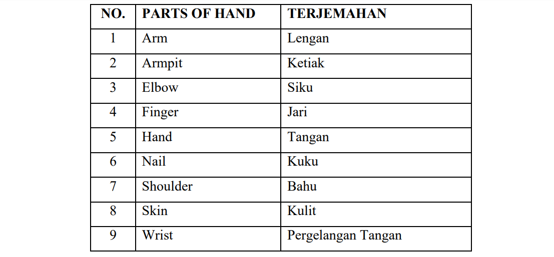 Detail Gambar Anggota Tubuh Dalam Bahasa Inggris Nomer 30