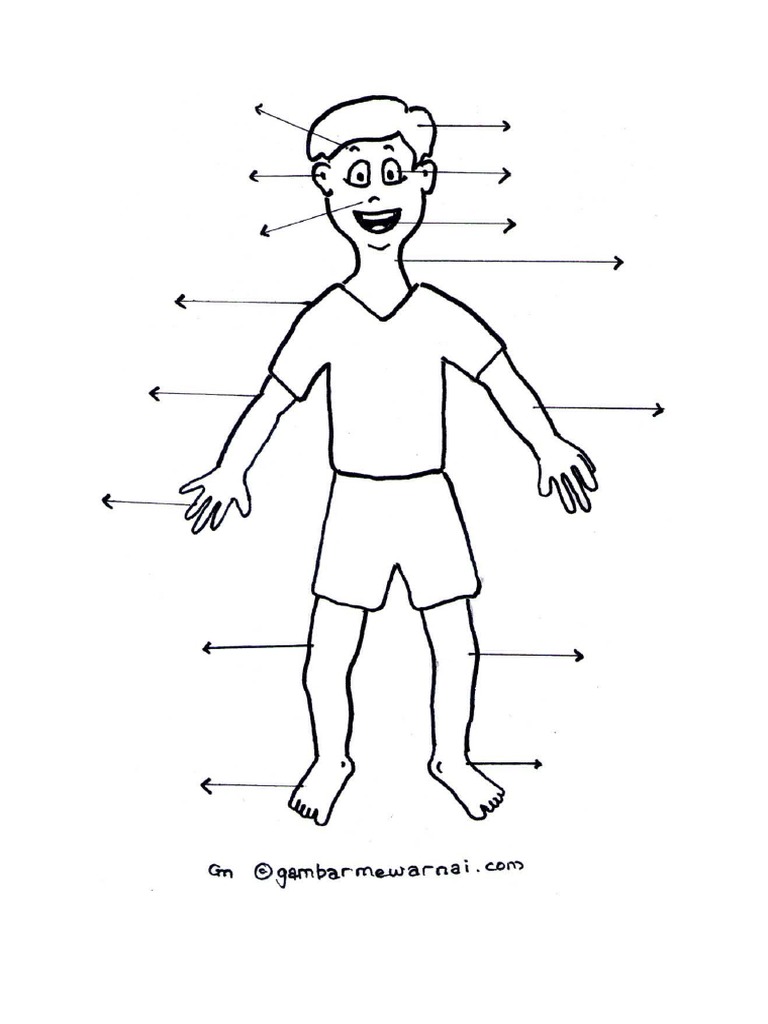 Detail Gambar Anggota Tubuh Dalam Bahasa Inggris Nomer 42