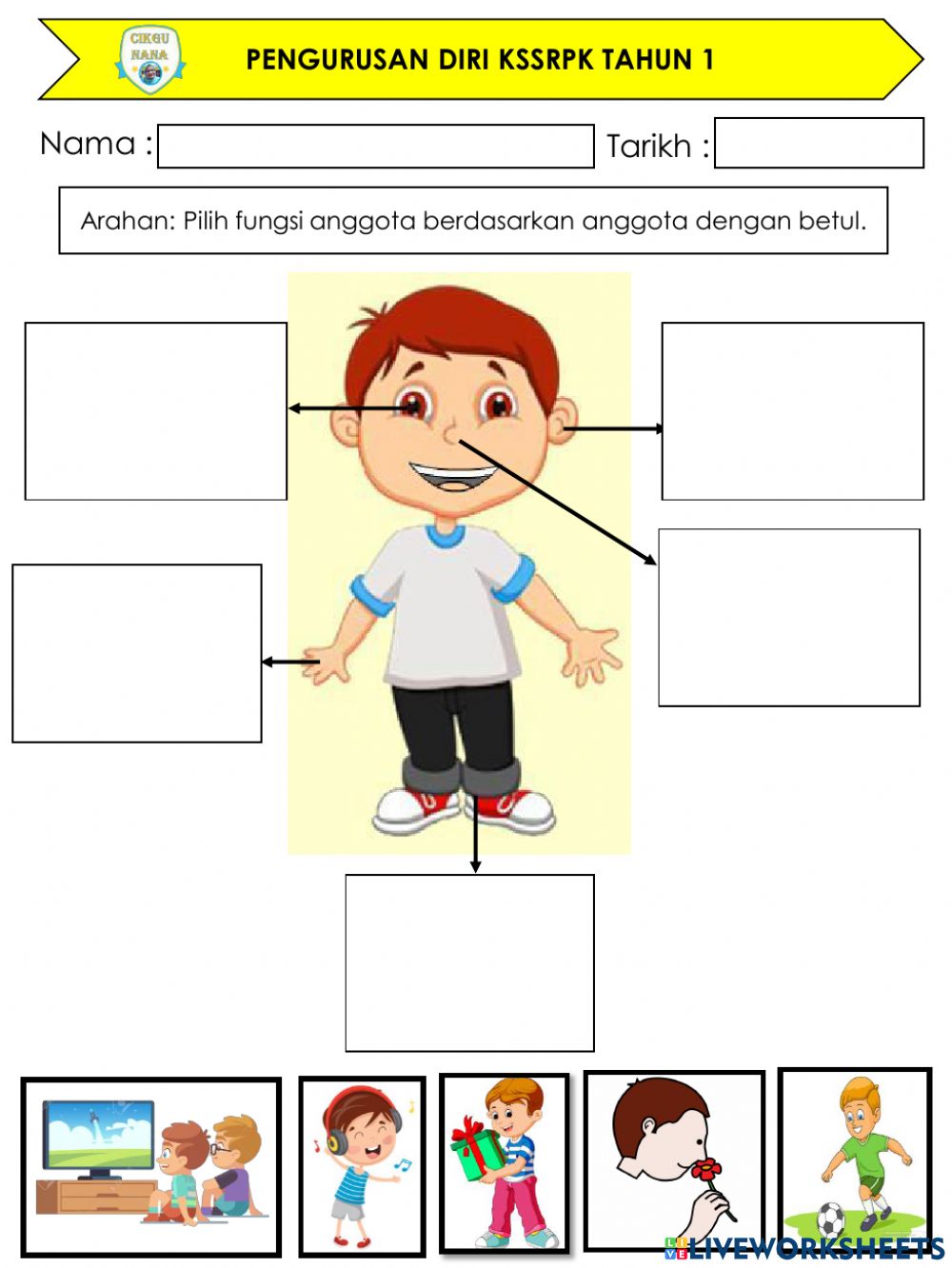 Detail Gambar Anggota Tubuh Dan Namanya Nomer 35