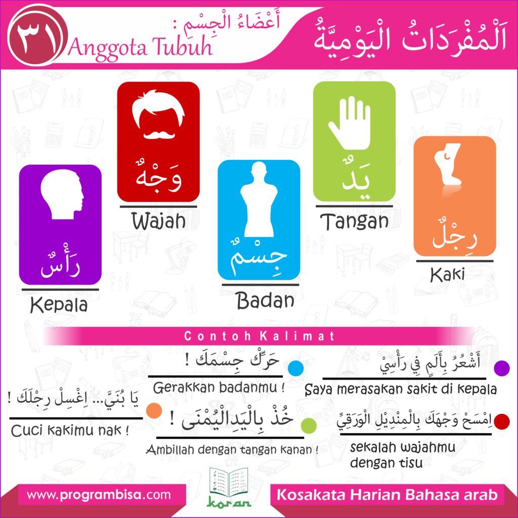 Detail Gambar Anggota Tubuh Gambar Bagian Bagian Kepala Koleksi Nomer 28 Detail Gambar Anggota Tubuh Gambar Bagian Bagian Kepala Koleksi Nomer 28