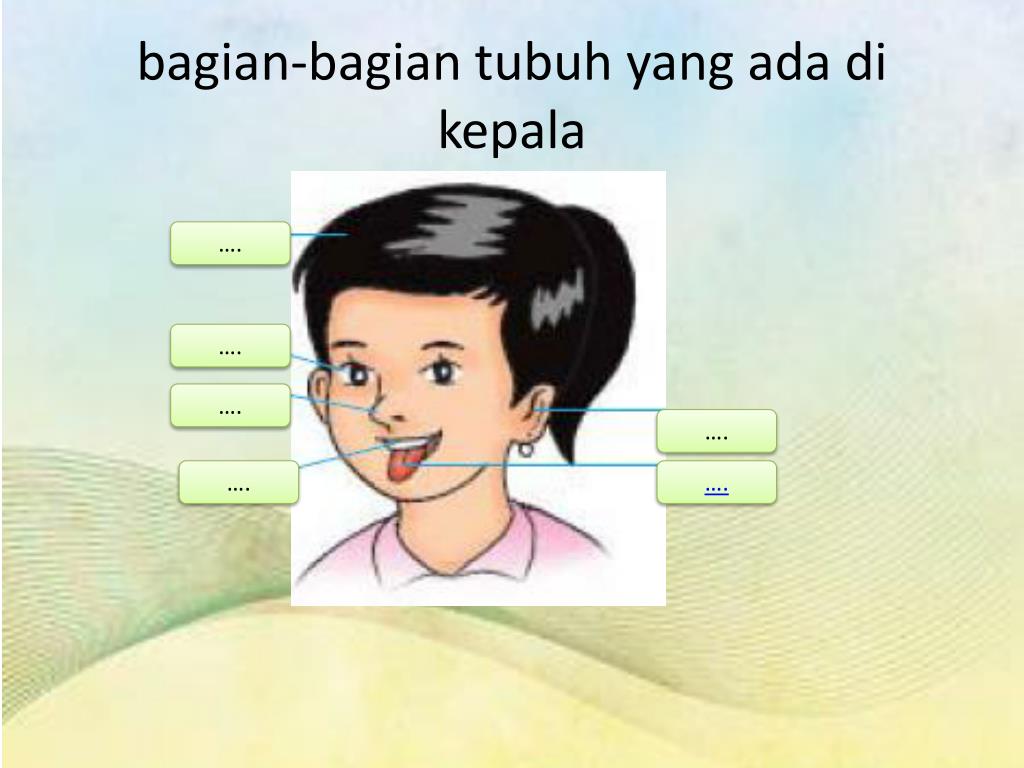 Detail Gambar Anggota Tubuh Gambar Bagian Bagian Kepala Koleksi Nomer 31 Detail Gambar Anggota Tubuh Gambar Bagian Bagian Kepala Koleksi Nomer 31