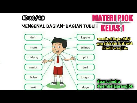 Detail Gambar Anggota Tubuh Gambar Bagian Bagian Kepala Koleksi Nomer 39 Detail Gambar Anggota Tubuh Gambar Bagian Bagian Kepala Koleksi Nomer 39