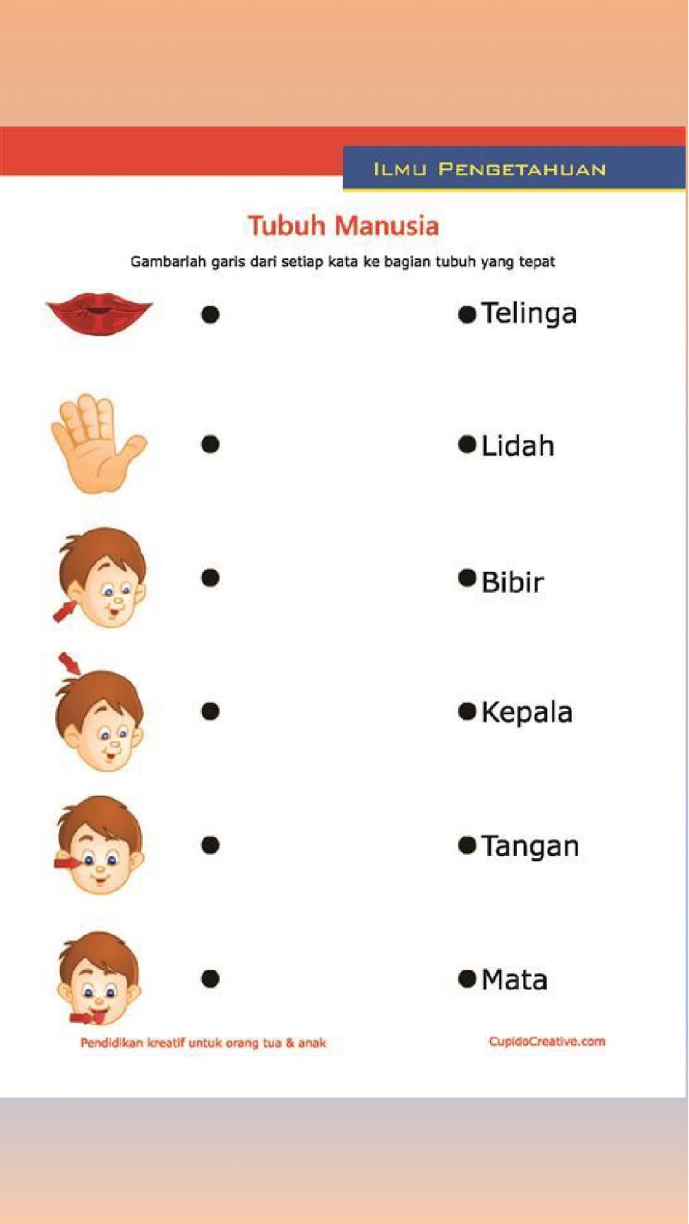 Detail Gambar Anggota Tubuh Gambar Bagian Bagian Kepala Koleksi Nomer 8 Detail Gambar Anggota Tubuh Gambar Bagian Bagian Kepala Koleksi Nomer 8