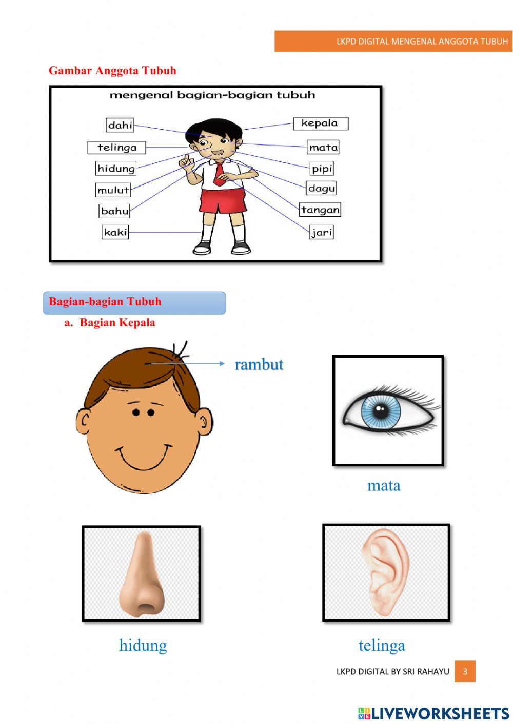 Detail Gambar Anggota Tubuh Hidung Nomer 48