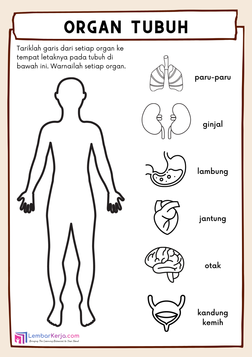 Detail Gambar Anggota Tubuh Hitam Putih Nomer 35