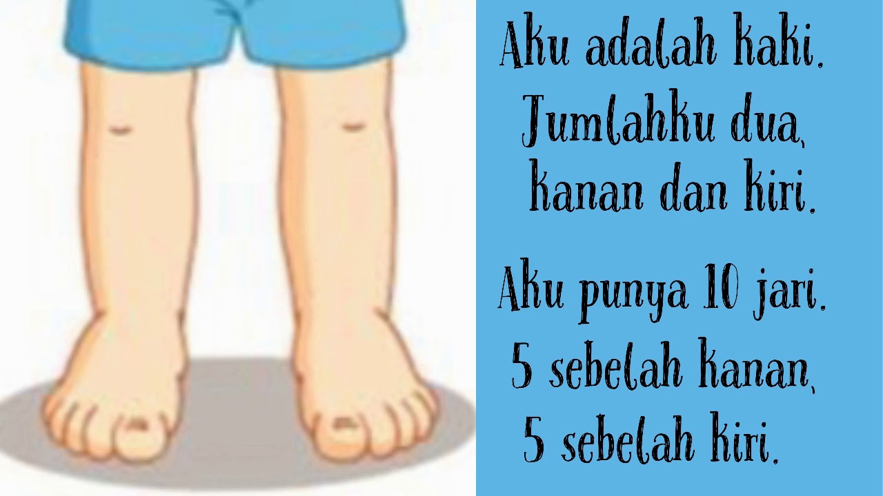 Gambar Anggota Tubuh Kaki - KibrisPDR