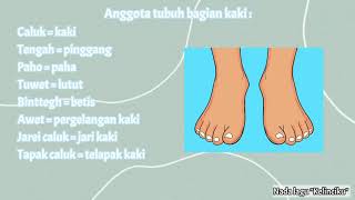 Detail Gambar Anggota Tubuh Kaki Nomer 15