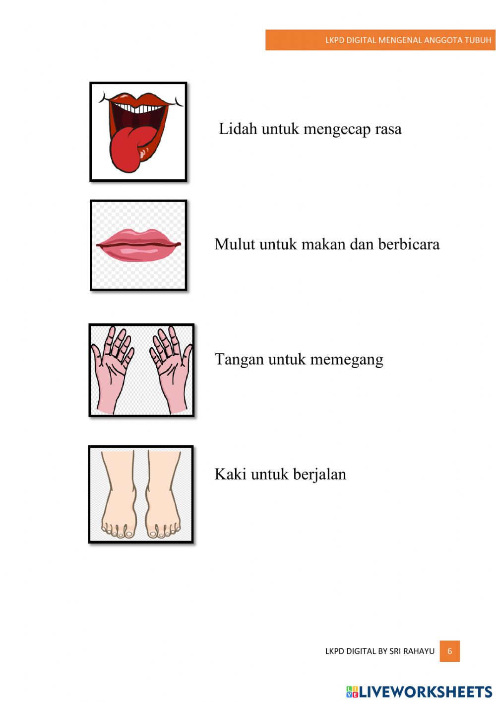 Detail Gambar Anggota Tubuh Kaki Nomer 29