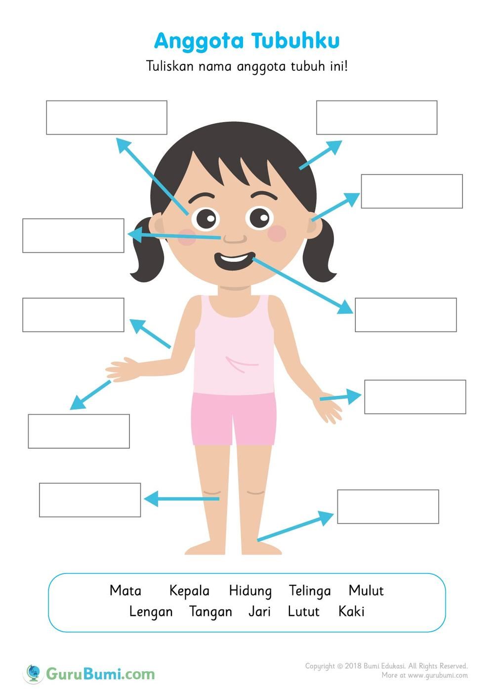 Detail Gambar Anggota Tubuh Untuk Anak Paud Nomer 2