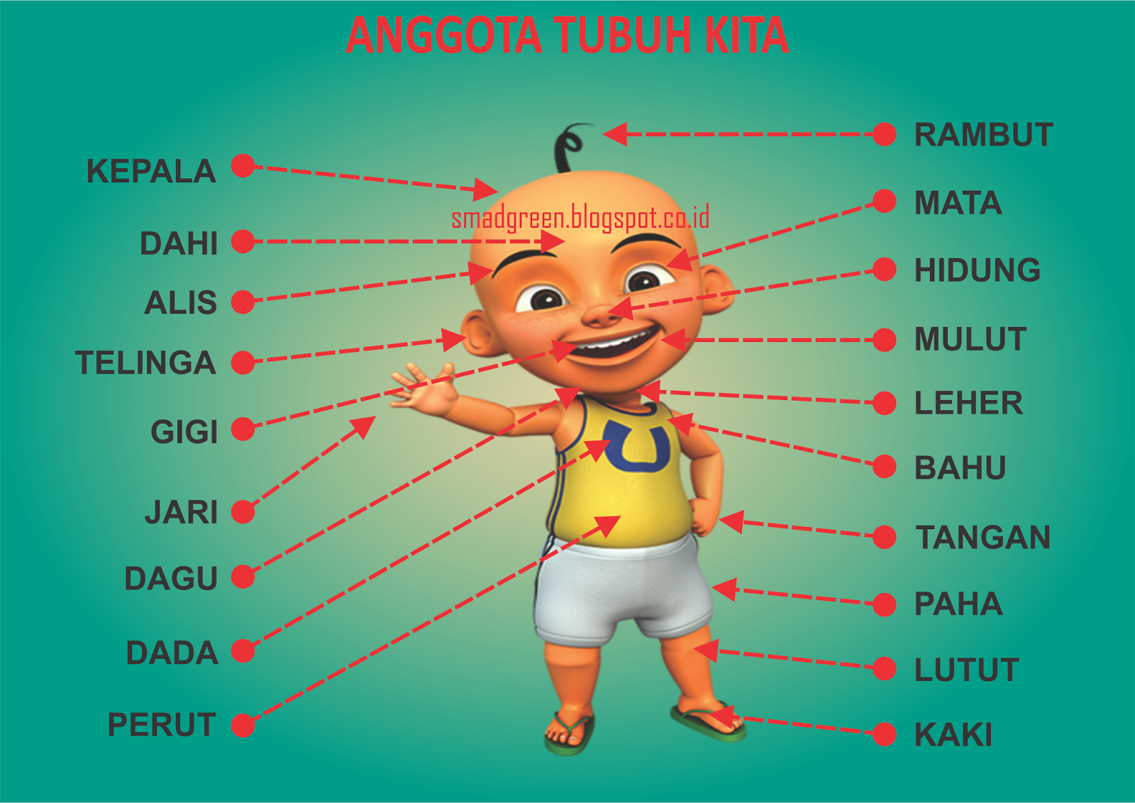 Detail Gambar Anggota Tubuh Untuk Anak Tk Nomer 11