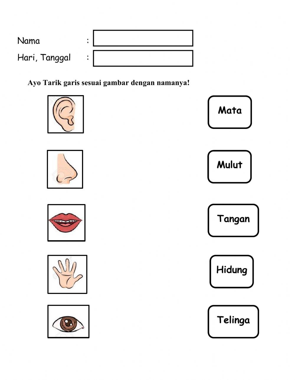 Detail Gambar Anggota Tubuh Untuk Anak Tk Nomer 38