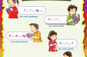 Detail Gambar Anggota Tubuh Untuk Anak Tk Nomer 39