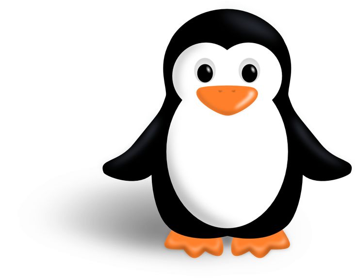 Detail Geburtstag Pinguin Nomer 11