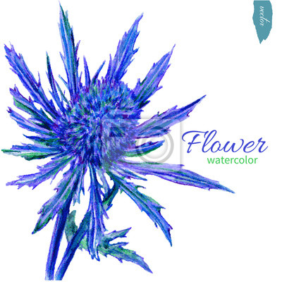 Detail Hintergrund Blaue Blumen Nomer 8