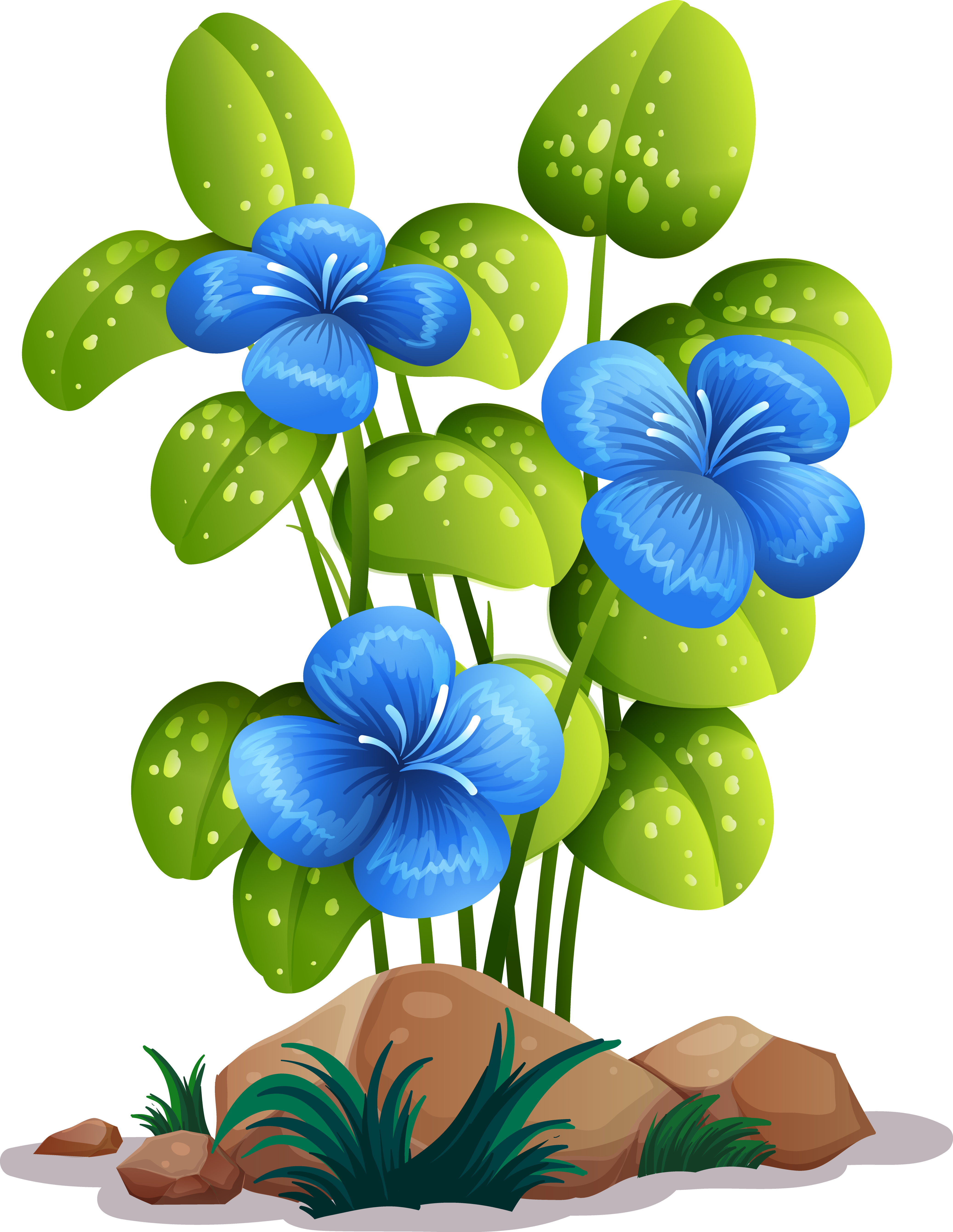 Detail Hintergrund Blaue Blumen Nomer 9