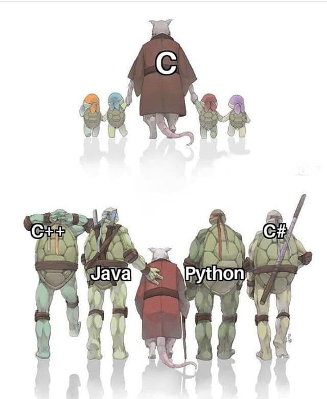 Detail C Programming Meme Nomer 25