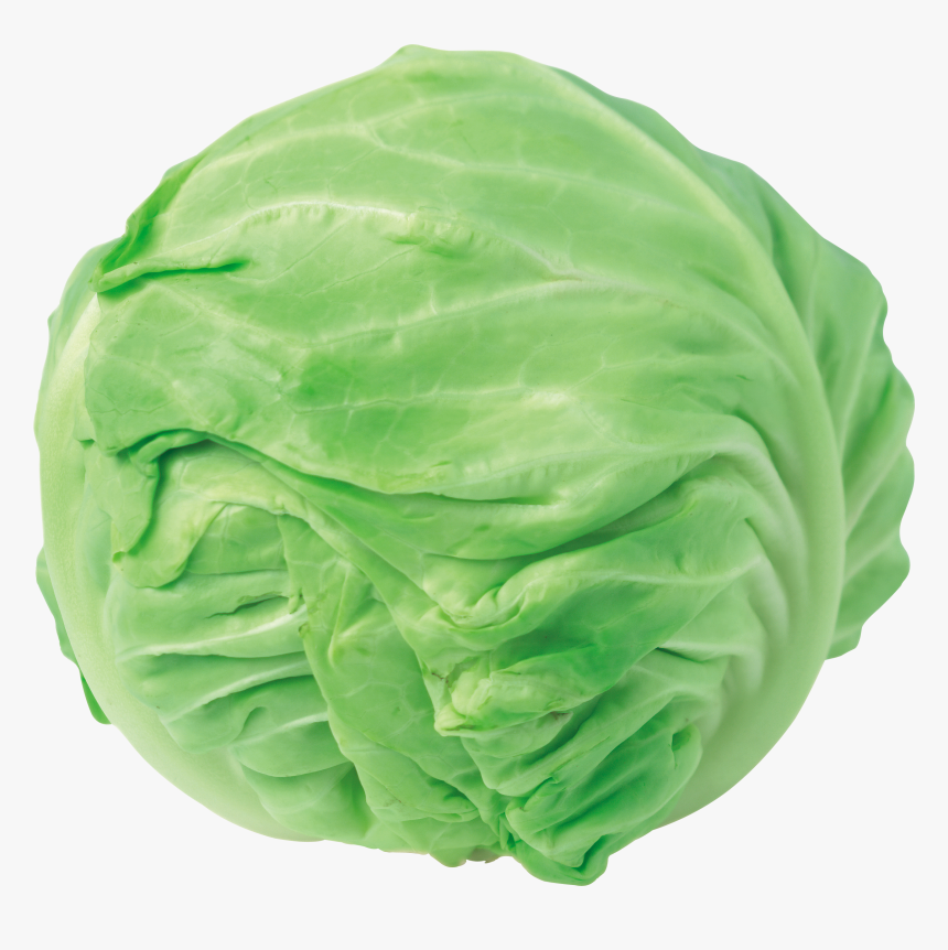 Detail Cabbage Clipart Nomer 12