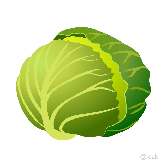 Detail Cabbage Clipart Nomer 14