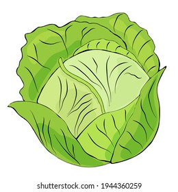 Detail Cabbage Clipart Nomer 15