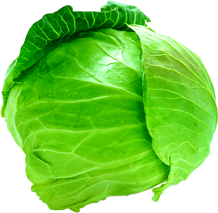 Detail Cabbage Clipart Nomer 21