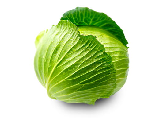 Detail Cabbage Clipart Nomer 24