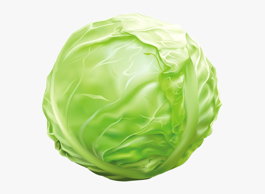 Detail Cabbage Clipart Nomer 4