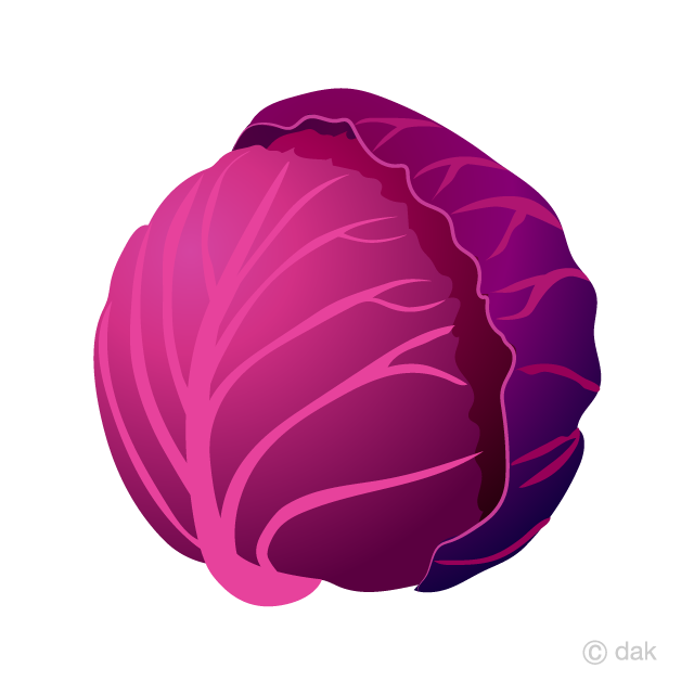 Detail Cabbage Clipart Nomer 36