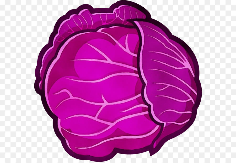 Detail Cabbage Clipart Nomer 43