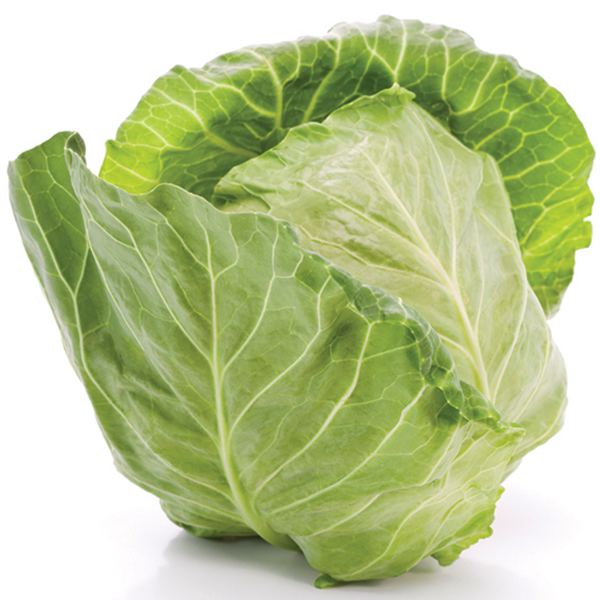 Detail Cabbage Image Nomer 42
