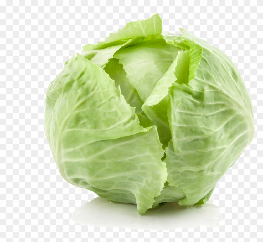 Detail Cabbage No Background Nomer 10