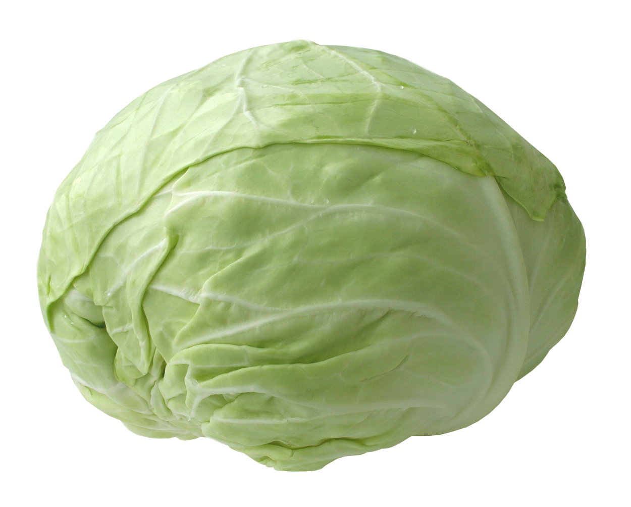 Detail Cabbage No Background Nomer 20