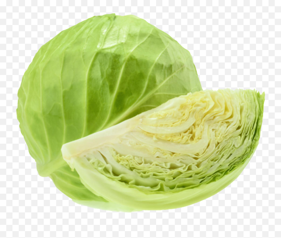 Detail Cabbage No Background Nomer 23