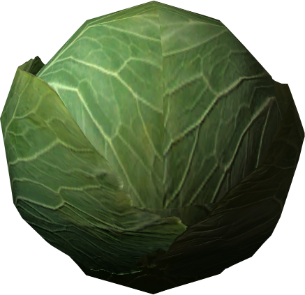 Detail Cabbage No Background Nomer 33