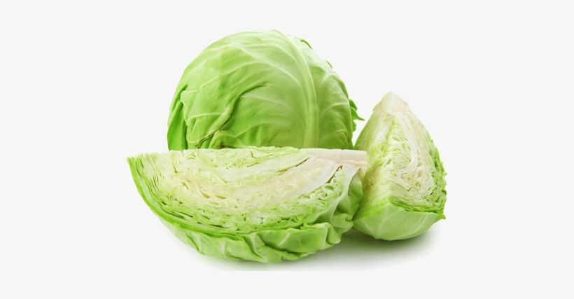 Detail Cabbage No Background Nomer 4