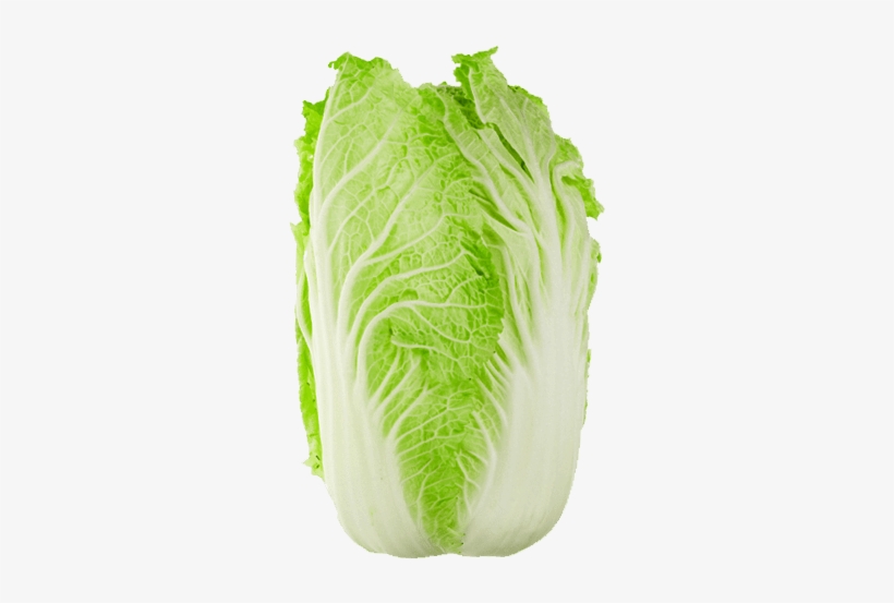 Detail Cabbage No Background Nomer 38
