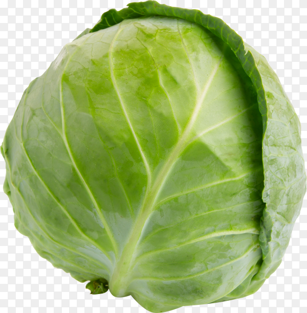 Detail Cabbage No Background Nomer 40