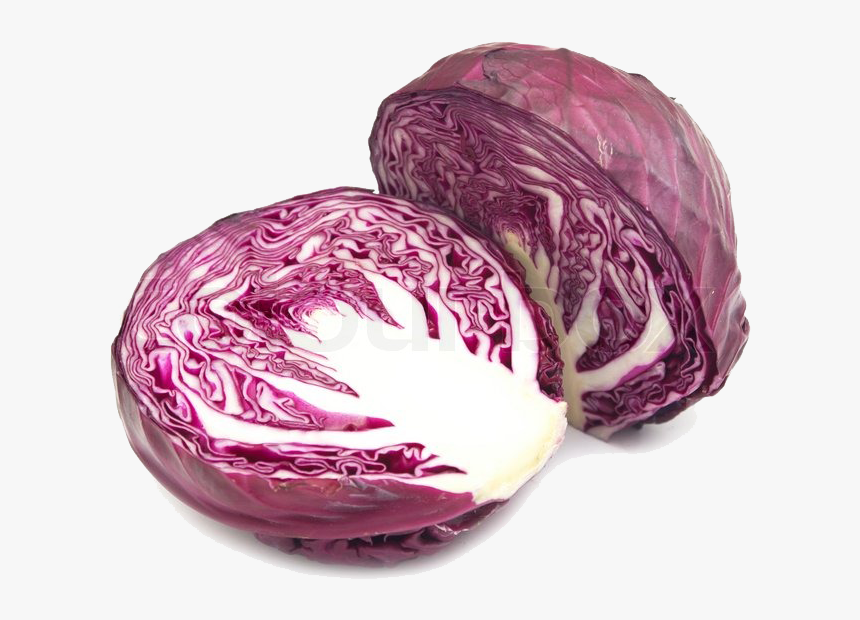 Detail Cabbage No Background Nomer 41