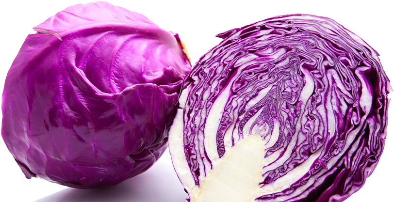 Detail Cabbage No Background Nomer 46