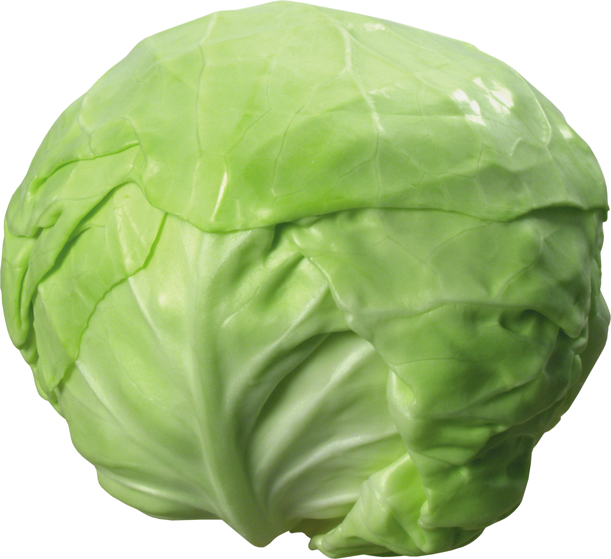 Detail Cabbage No Background Nomer 5