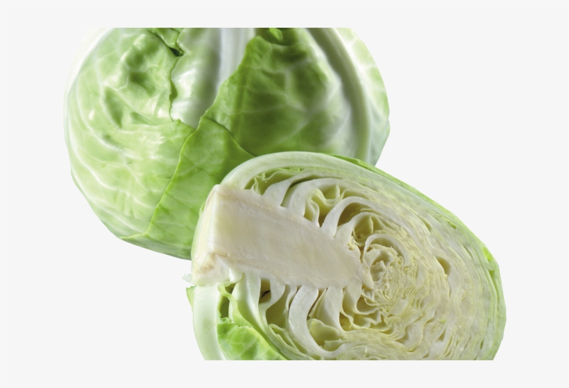 Detail Cabbage No Background Nomer 47