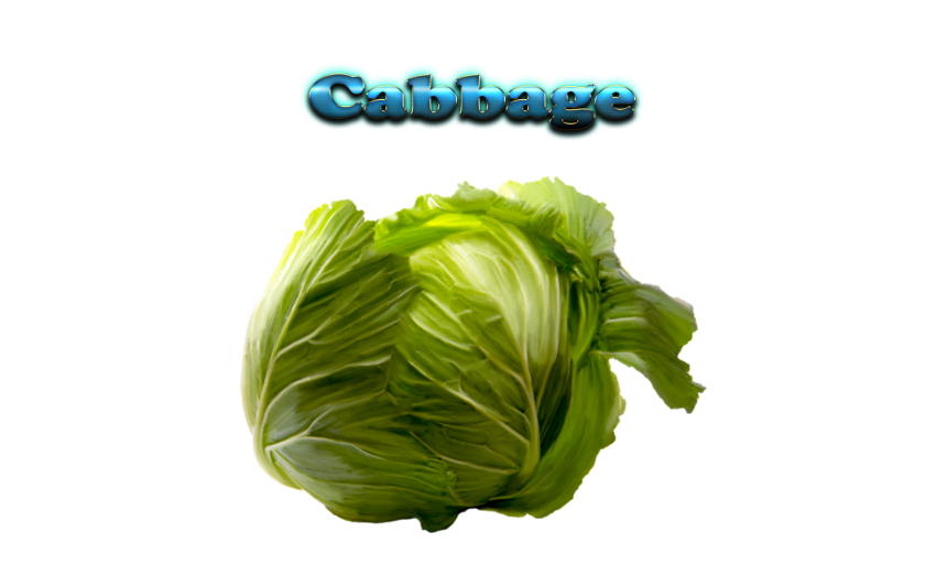 Detail Cabbage No Background Nomer 49